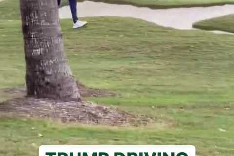 ‘When you own the course you do what you want’ – Golf fans stunned as Donald Trump ‘drives buggy on the GREEN’