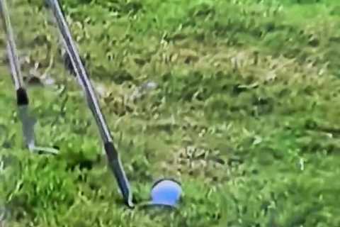 Calls for Rory McIlroy to be given US Open title with eagle-eyed fans convinced Wyndham Clark should get penalty