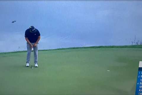 Monster Alligator Spotted Near PGA Tour Green in Florida