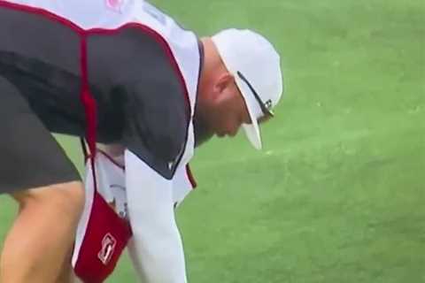 Turtle Causes Chaos at Houston Open