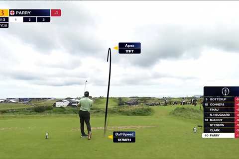 I Just Watched John Parry Absolutely Nail His First Open Hole-in-One and Holy Hell, the Celebrations Were Mental
