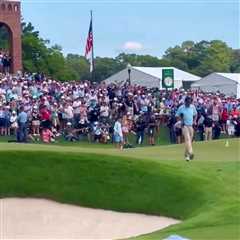 This Actually Happened: Watching Tommy Fleetwood Boot a Sex Toy Off the 18th Green